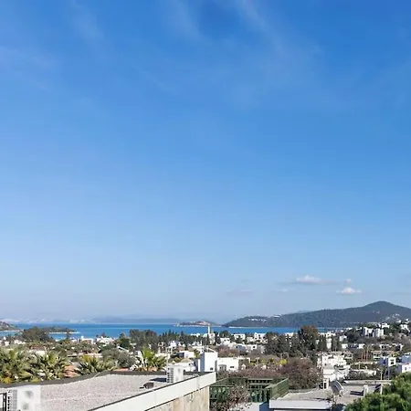 Mansion In Riviera *