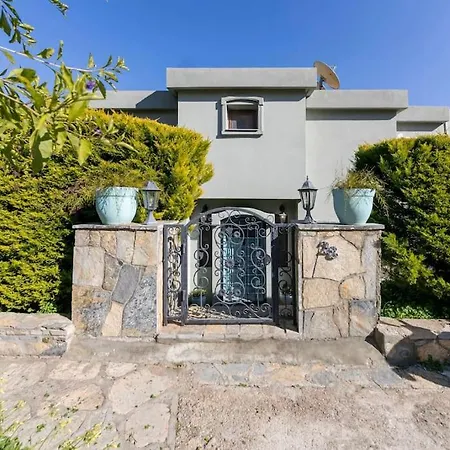 Mansion In Riviera