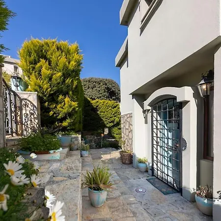 Mansion In Riviera